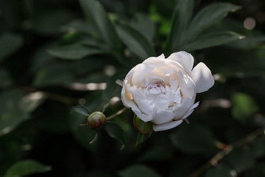 Similar image 21493379