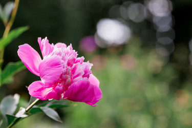 Similar image 21493382