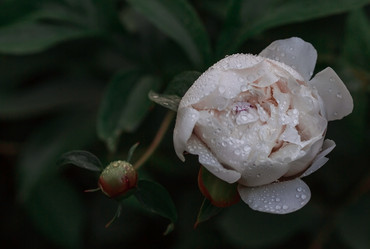 Similar image 21493383