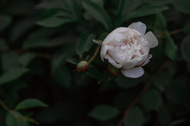 Similar image 21493384