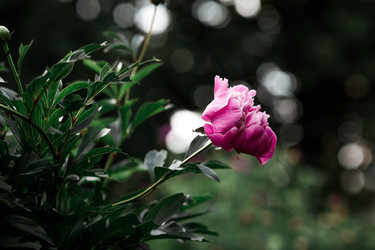 Similar image 21493385