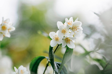 Similar image 21493386