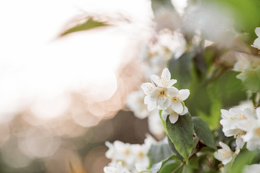 Similar image 21493387