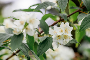 Similar image 21493388