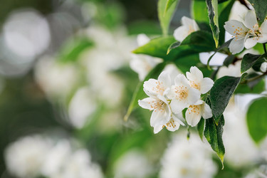 Similar image 21493391