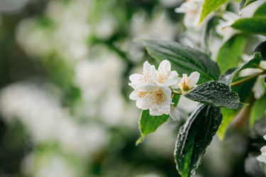 Similar image 21493392