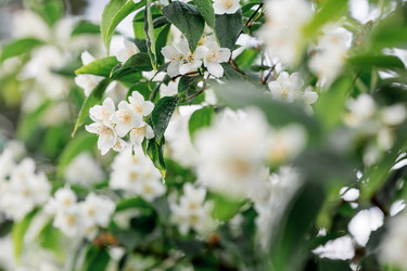 Similar image 21493393