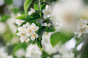 Similar image 21493395