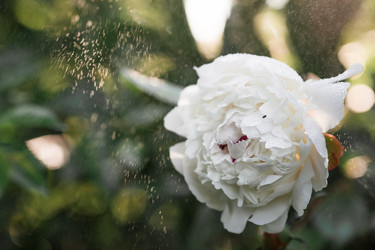 Similar image 21493399