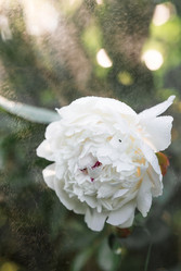 Similar image 21493400