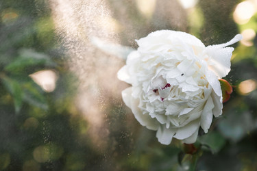 Similar image 21493401