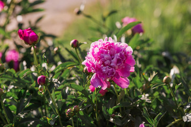 Similar image 21493402