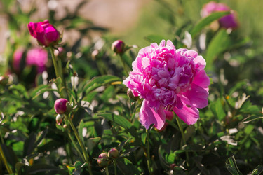 Similar image 21493403