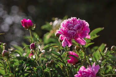 Similar image 21493404