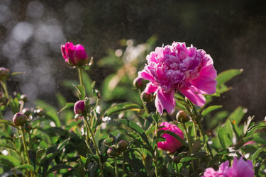 Similar image 21493405