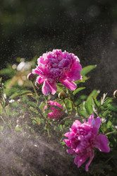 Similar image 21493406