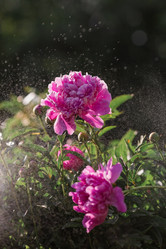 Similar image 21493407