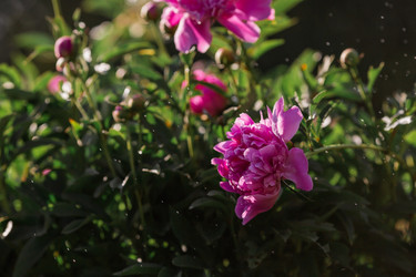 Similar image 21493408