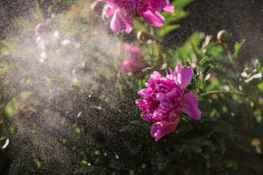 Similar image 21493409