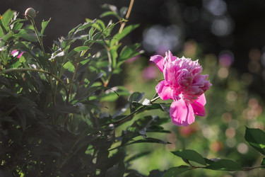 Similar image 21493411