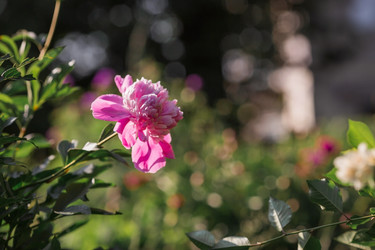 Similar image 21493412