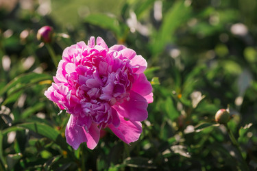 Similar image 21493413