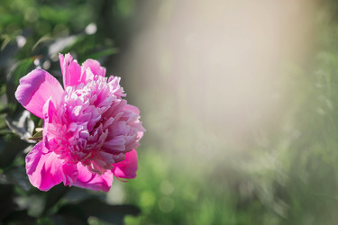 Similar image 21493415