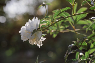 Similar image 21493416