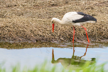 Similar image 21493525