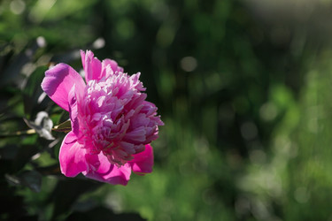 Similar image 21493418