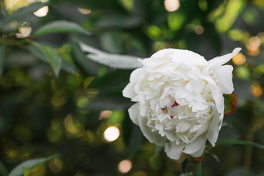 Similar image 21493420