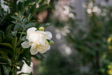 Similar image 21493421