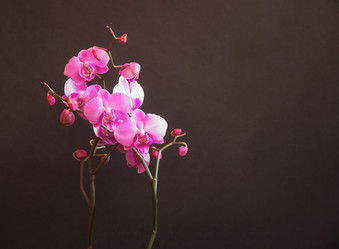 Similar image 21493565