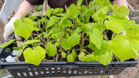 Similar image 21493571