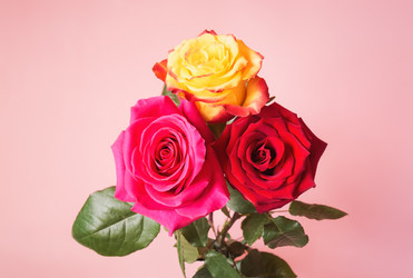 Similar image 21493573