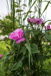 Similar image 21493441