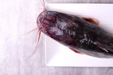 Similar image 21493443