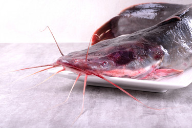 Similar image 21493444