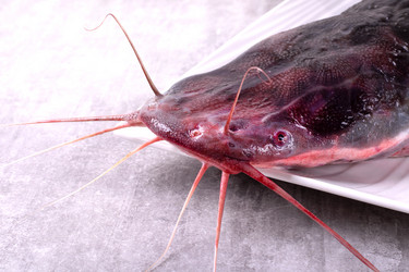 Similar image 21493445