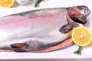 Similar image 21493464