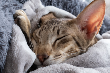 Similar image 21493620