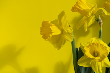 Similar image 21493622