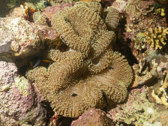 Similar image 21493623