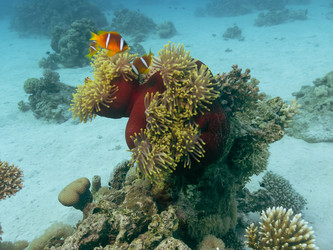 Similar image 21493625