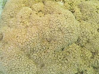 Similar image 21493626