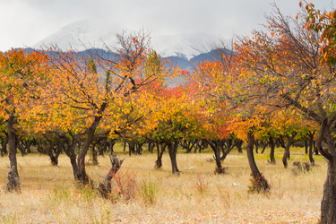 Similar image 21493627