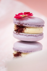 Similar image 21493654