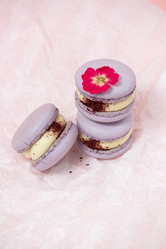 Similar image 21493655