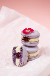 Similar image 21493656