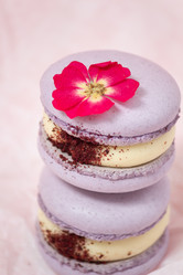 Similar image 21493657